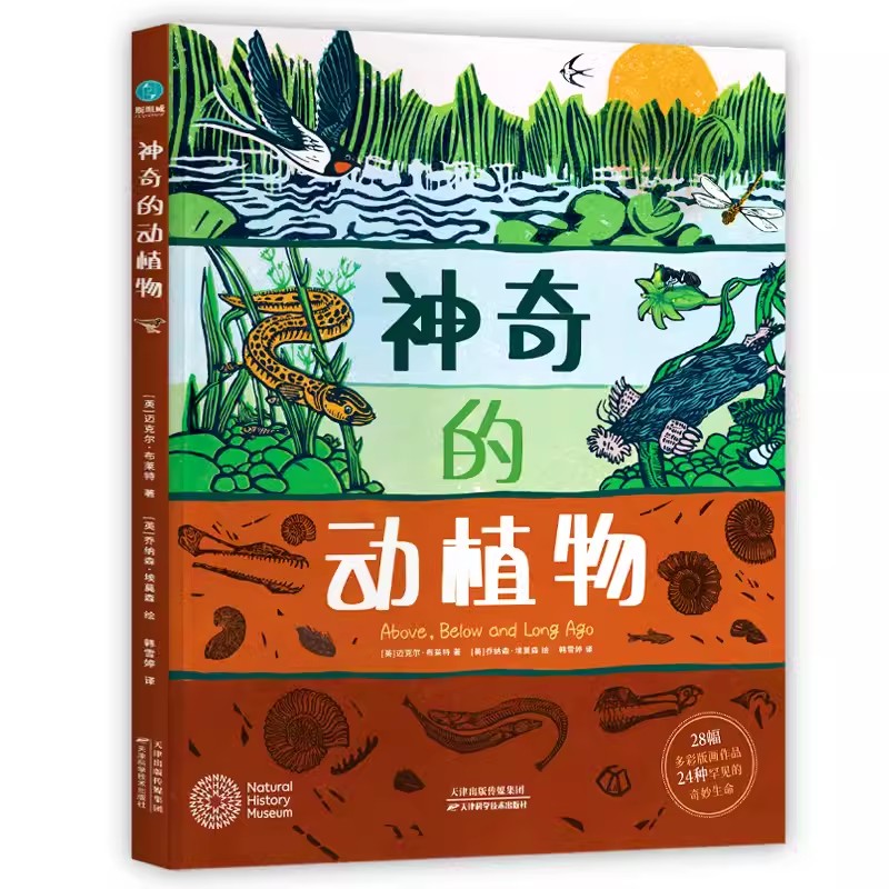 神奇的动植物：英国自然历史博物馆联名出版的艺术级儿童自然科普，送给6-12岁孩子的礼物！带孩子探索自然科学、梳理地球生