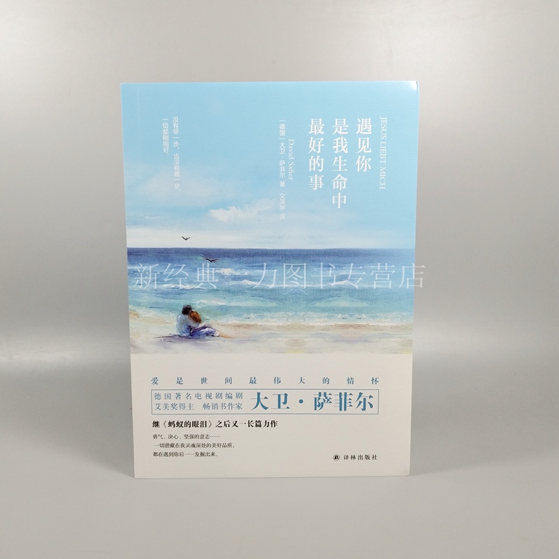 正版新书 遇见你是我生命中好的事 萨菲尔幻想小说系列 北京凤凰壹力 勇气、决心、坚强的意志一切潜藏在我灵魂深处的美好品质