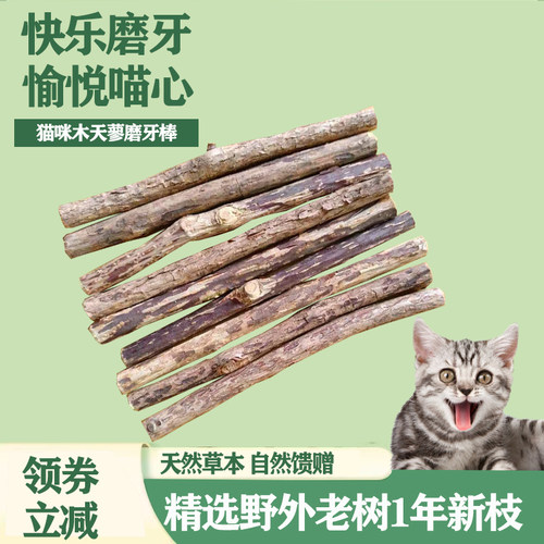 新鲜嫩枝当年生木天蓼原木切割