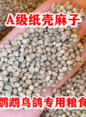 纸壳麻子鹦鹉粮小太阳和尚专用训练奖励零食牡丹玄凤麻籽鸟粮饲料