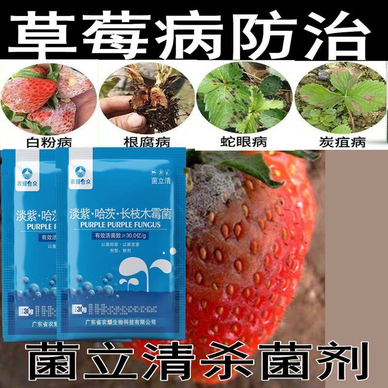 草莓炭疽病专用药根腐病白粉病斑点病褐斑病叶枯病烂果病增产肥料