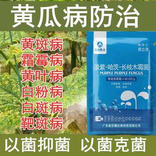 黄瓜黄斑病药霜病霉专用药白粉病白斑病靶斑病黄叶病病毒病角斑病
