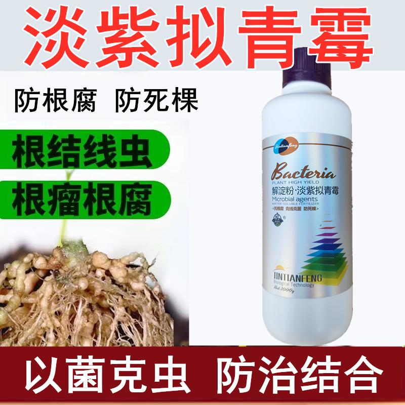 根结线虫专用药淡紫紫孢菌拟青霉瘤线虫克星农用果树蔬菜花卉辣椒