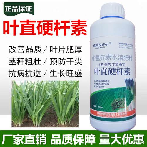 蔬菜叶直硬杆素肥大葱小香葱韭菜香菜提质增产绿叶速长抗倒控旺剂