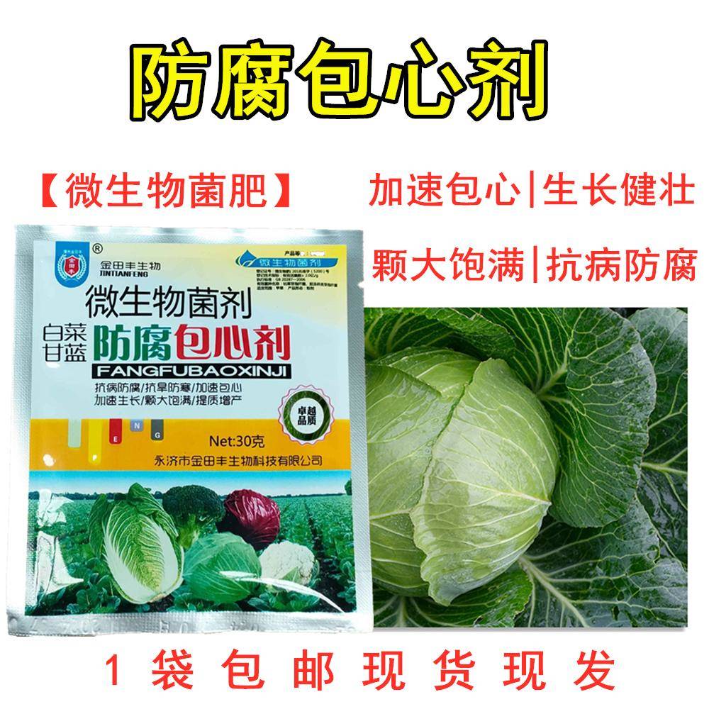 白菜专用药甘蓝防腐包心剂大白菜软腐病根腐病炭疽病干烧心防病药