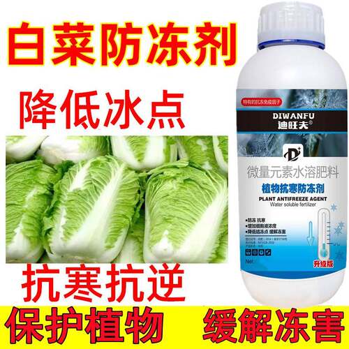 白菜防冻液白菜抗冻防寒剂白菜专用药解冻害抗低温白菜防冻剂叶肥