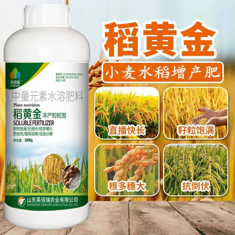 水稻子粒饱满促分蘖抗倒伏早熟灌浆专用喷施水溶肥稻黄金改善品质