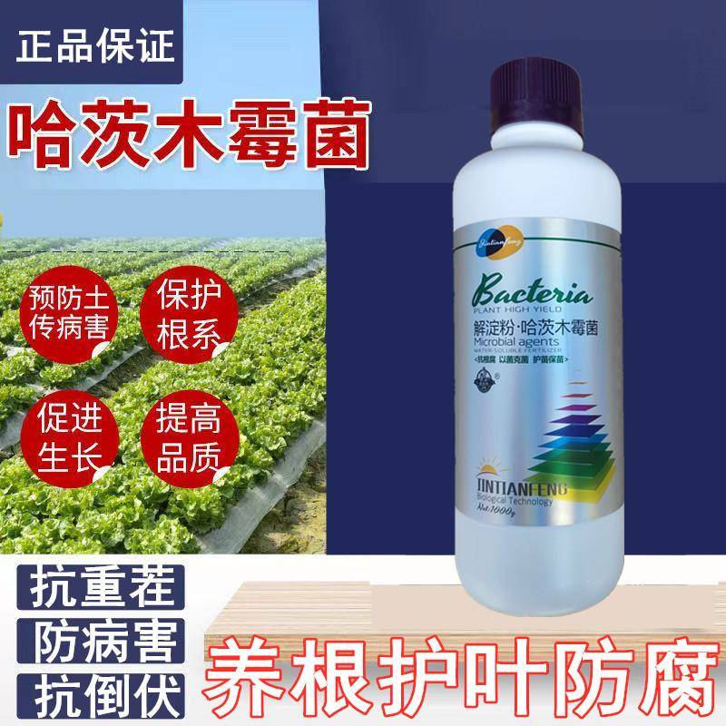 枯草芽孢菌杆菌农用种植哈茨木毒菌水溶肥防根腐根腐克星土传病害