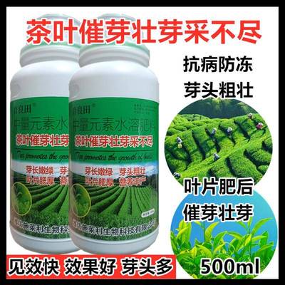 茶叶催芽壮芽采不尽抗病防冻叶片肥后芽头粗壮见效快芽头多叶面肥