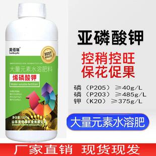烯磷酸钾叶面肥新型植物刺激素西稀磷酸钾控旺荔枝控梢促花素希磷