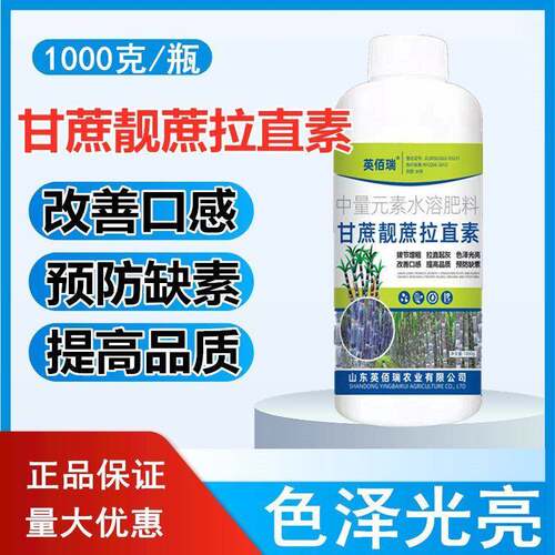 甘蔗增甜剂增粗剂甘蔗生根专用肥料拉长素抗倒药甘蔗壮丰素非农