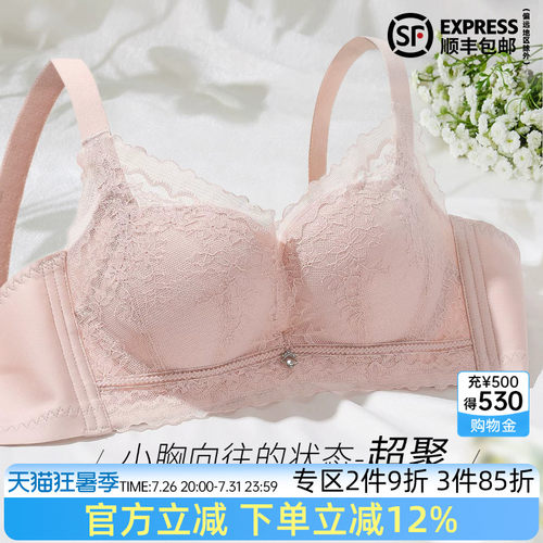 伊丝艾拉性感无钢圈聚拢文胸