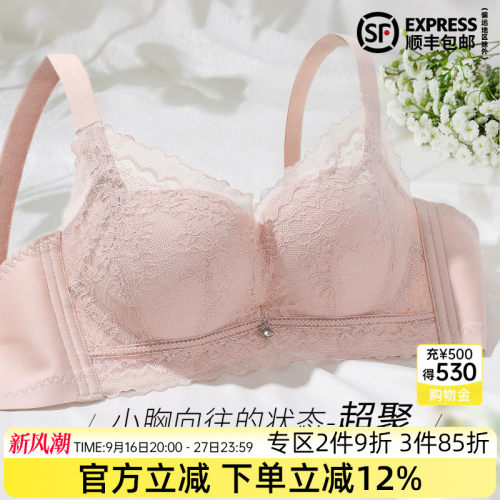 伊丝艾拉性感无钢圈聚拢文胸