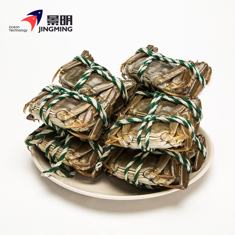 好客山东 景明黄河口鲜活螃蟹 大闸蟹现货特产礼盒