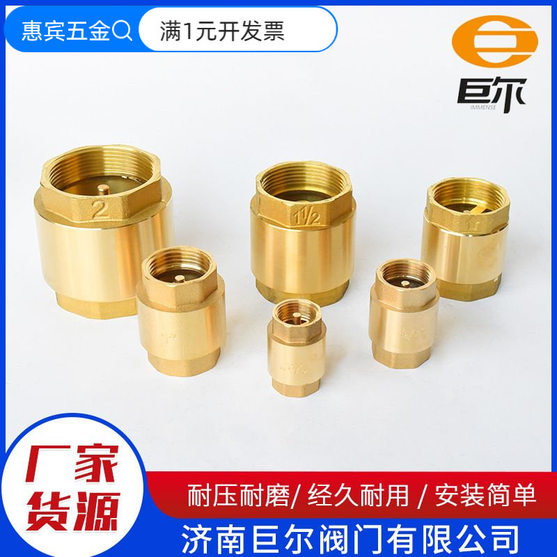 巨尔黄铜立式止回阀自来水管道直