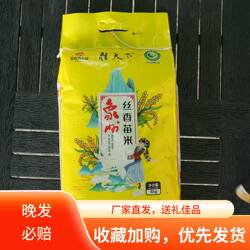 桂天下象州大米丝香苗米5/10kg广西特产优质稻丝香苗米营养丰富稻