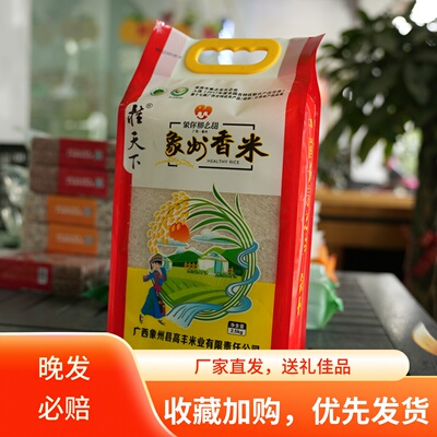 香米大米广西特产原产地