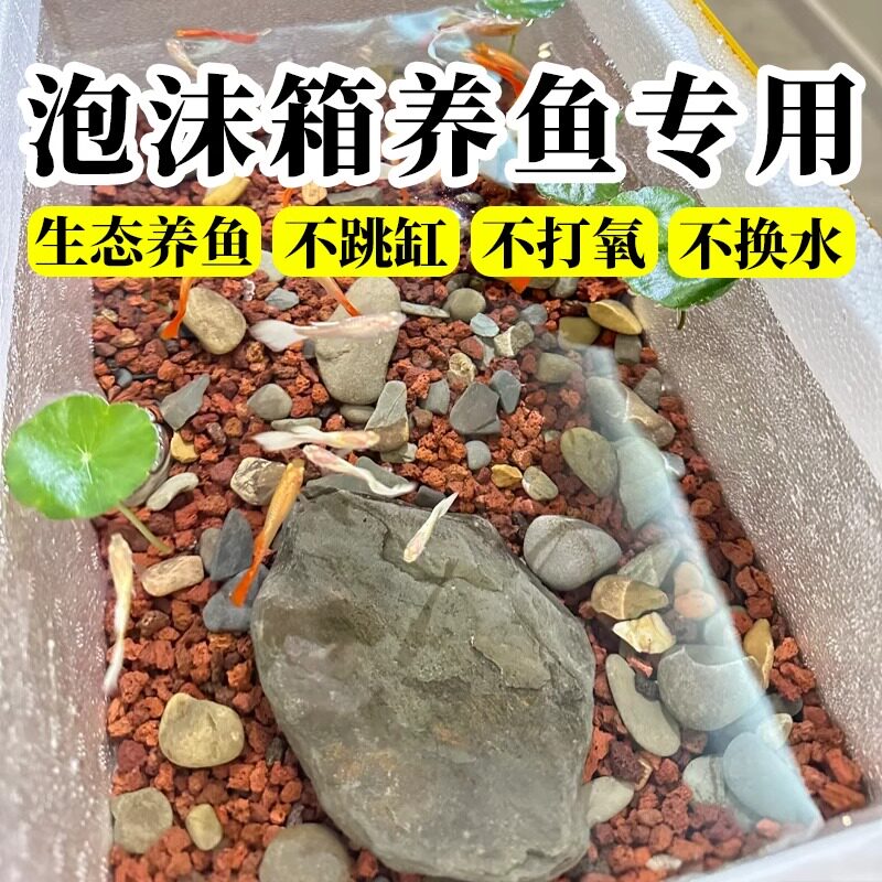 泡沫箱养鱼专用高密度加厚龟缸家用鱼缸特大号种菜养虾观赏鱼箱子图片