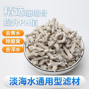 滤材骨滤材净水珊瑚鱼池优质过滤材料鱼缸珊瑚石海鲜天然净化水质