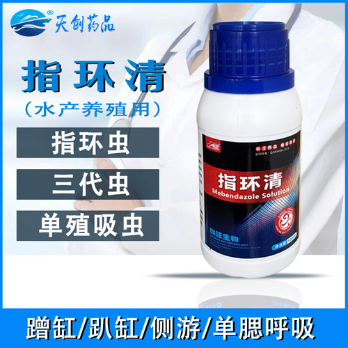 指环清鱼缸用蹭缸趴缸单腮呼吸