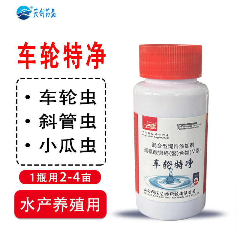 斜管虫一扫净鱼塘斜管车轮净鱼塘净水车轮虫斜管虫纤毛虫混养车轮