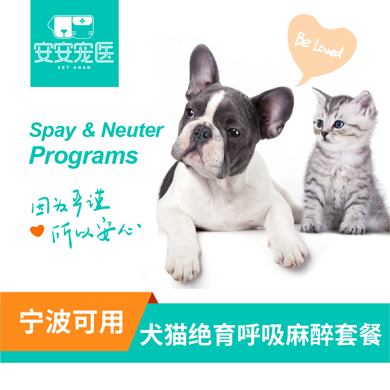 莉犬手術
