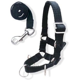 Crafty Ponies玩偶马术 打圈套装 英国设计 马术教学工具