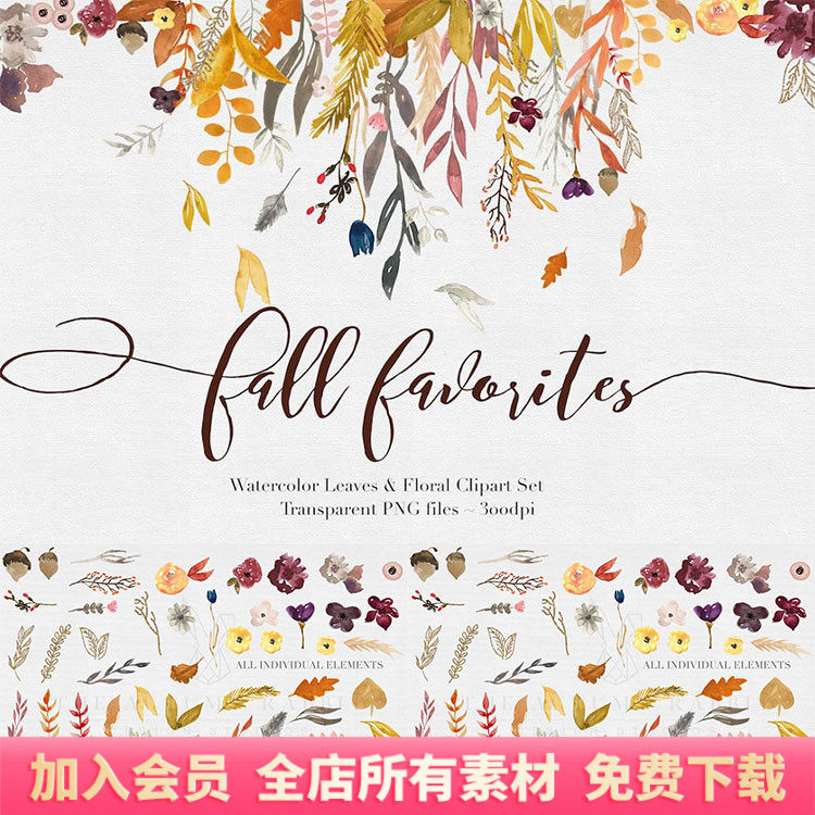 秋天水彩手绘松子花卉插画元素手账png免扣设计素材ps装饰