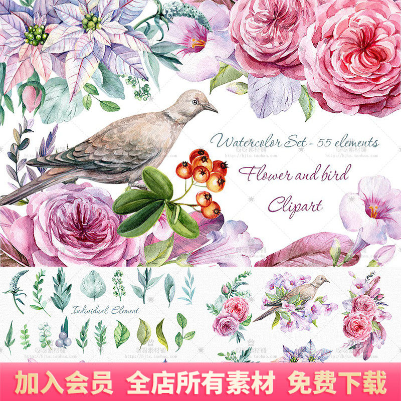手绘水彩玫瑰花鸟树叶羽毛png免抠卡片海报装饰包装服装设计素材