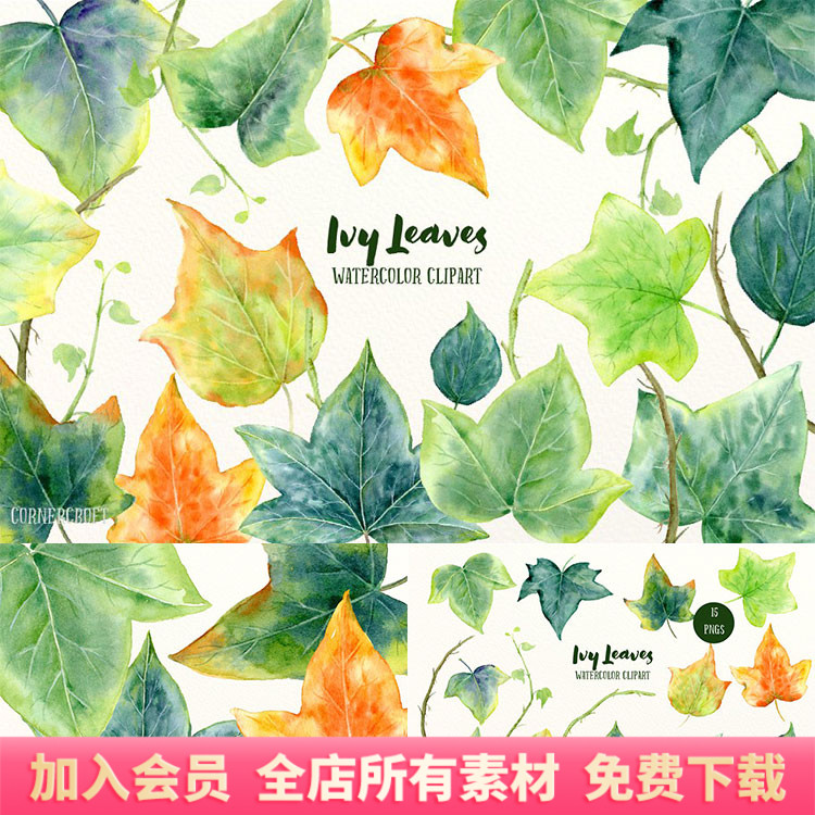水彩手绘常青藤叶子插图手账图片元素png免扣装饰设计素材