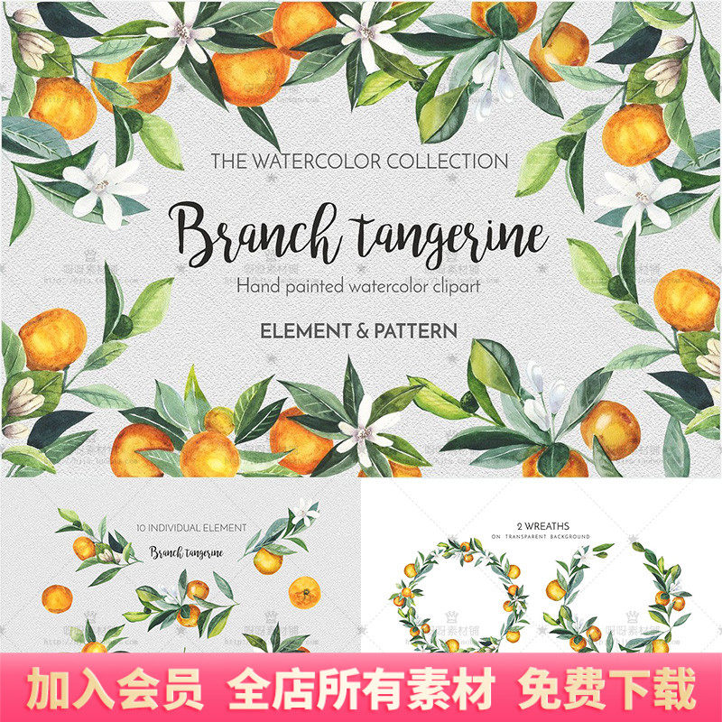 手绘水彩柑橘桔子叶子花环请柬贺卡海报印花包装png免抠设计素材