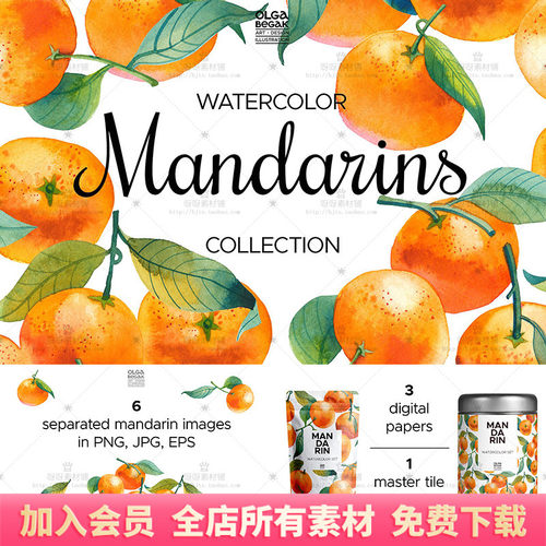 PS手绘水彩橘子桔子柑橘水果绿色叶子PNG图片EPS矢量装饰设计素材