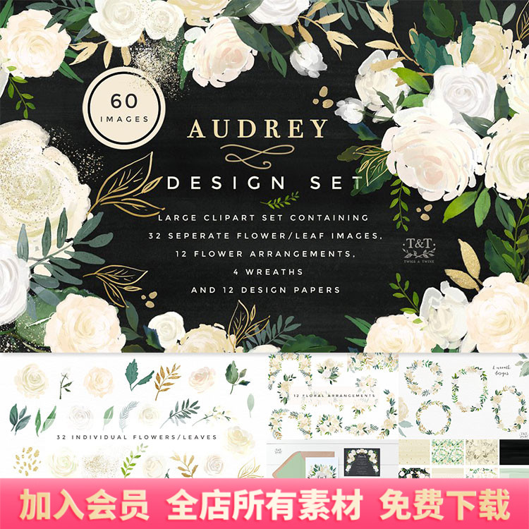 水彩白色玫瑰康乃馨花卉鲜花设计AI矢量PNG免扣图案PS素材