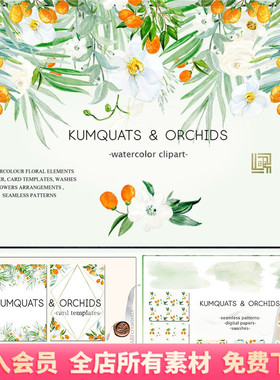 金橘白色兰花边框背景装饰手绘水彩PNG免扣元素PS设计素材