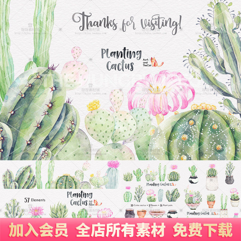 手绘水彩多肉植物仙人掌芦荟盆景花盆卡片装饰png免抠ps设计素材
