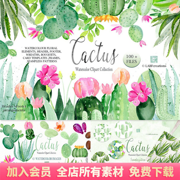 绿色文艺仙人掌水彩元素花边边框卡片背景png免扣ps设计素材