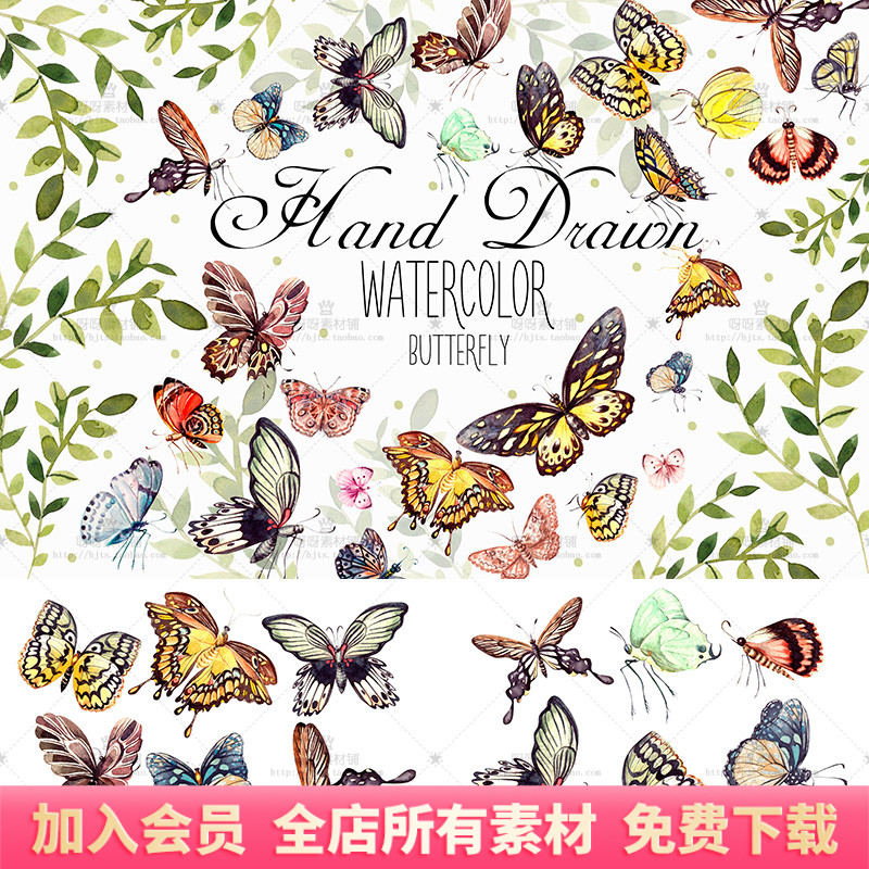 手绘水彩唯美彩色蝴蝶插画婚礼请柬卡片海报装饰png免扣设计素材