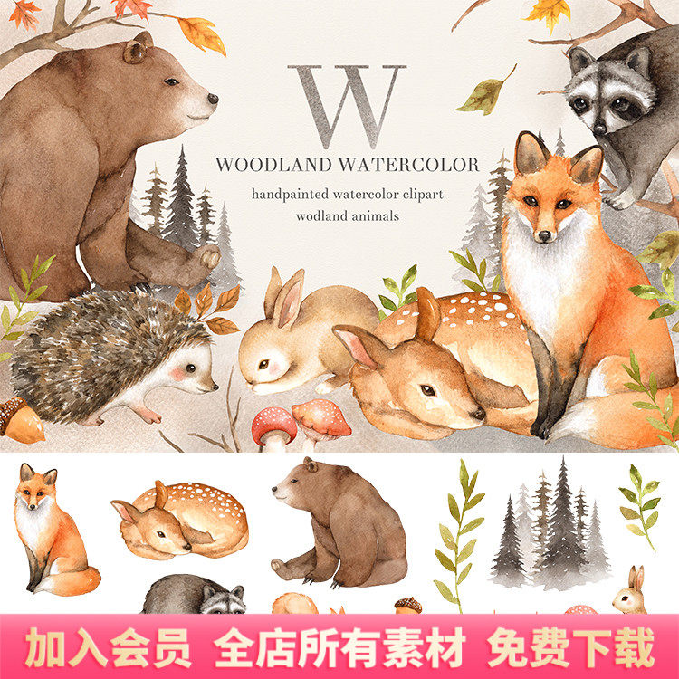 手绘水彩卡通动物狐狸刺猬兔子熊兔子卡片png免抠设计素材