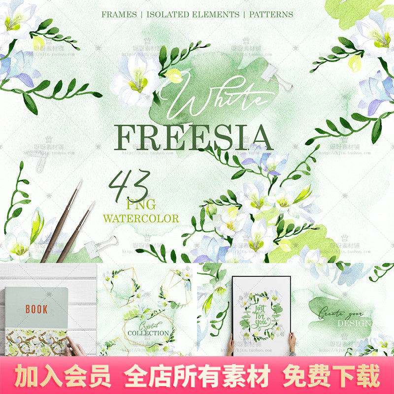 手绘水彩清新淡雅白色小苍兰花卉花环边框装饰画芯png免抠图素材