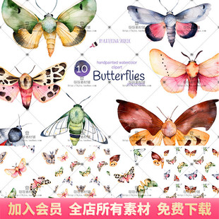 彩色飞蛾蝴蝶昆虫标本平铺图案背景手绘水彩PNG免扣装饰设计素材