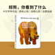 What See绘本eric 赠音频英文原版 You bear 棕色 carle艾瑞卡尔爷爷 棕熊你在看什么brown 熊 幼儿童启蒙认知动物英语纸板书