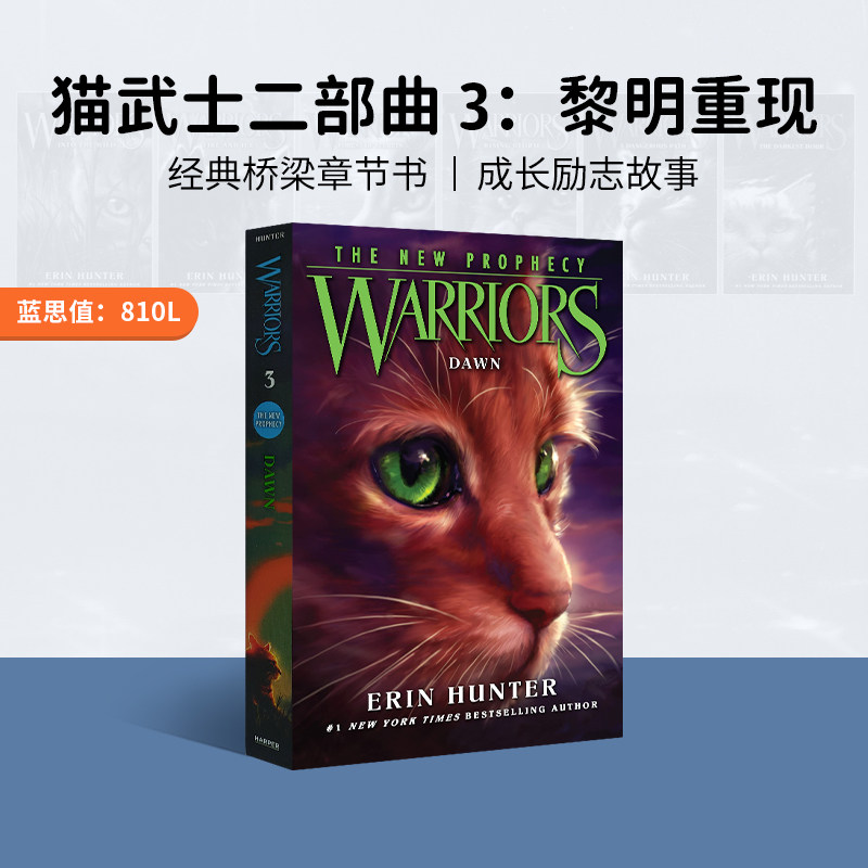 猫武士第二部曲3黎明重现图片