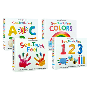 See Touch Feel 英文原版绘本触觉视觉嗅觉感官认知触摸书 A First Sensory Book幼儿童早教启蒙英语读物亲子互动游戏书内附小镜子
