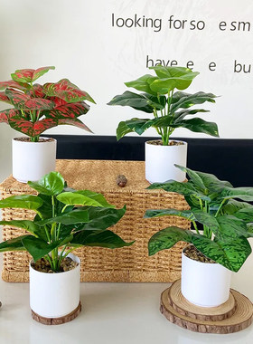 仿真绿植仿真盆景办公桌小盆