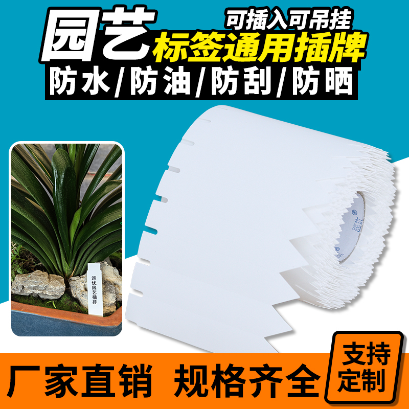 园艺插牌植物标签塑料蝴蝶兰花牌