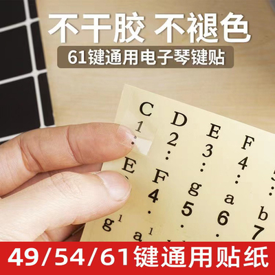透明简谱钢琴电子琴键盘按键贴纸