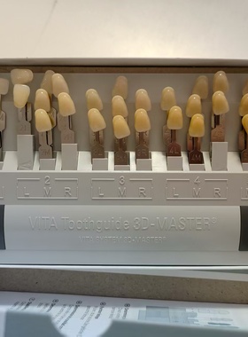 3VITA  3D-MASTER比色板29色 附带漂白色德国VITA 原装比色板维他