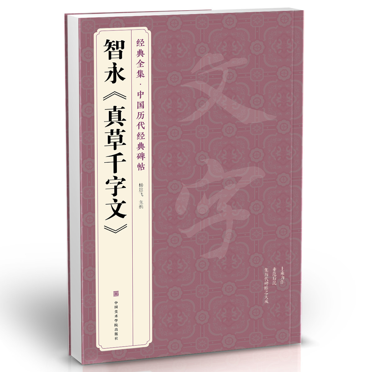 【书豪图书官方直发】智永 真草千字文  杨建飞 楷书字帖中国历代名家碑帖原方法版行书小草书临摹毛笔书法真的墨迹