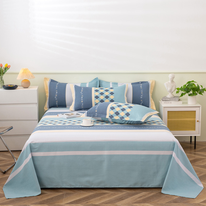 特价清仓处理纯棉磨毛床单单件