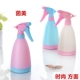 500mL 多肉植物喷雾喷壶浇花 糖果喷壶洒水壶喷水壶手压式 浇花壶